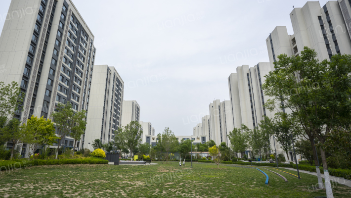 文安雅苑外景图