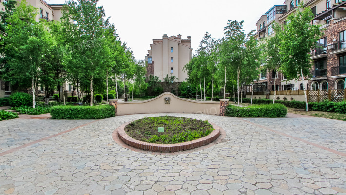 力旺塞歌维亚外景图