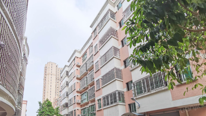 科教新村8号楼外景图