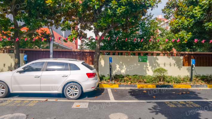 田林十三村外景图