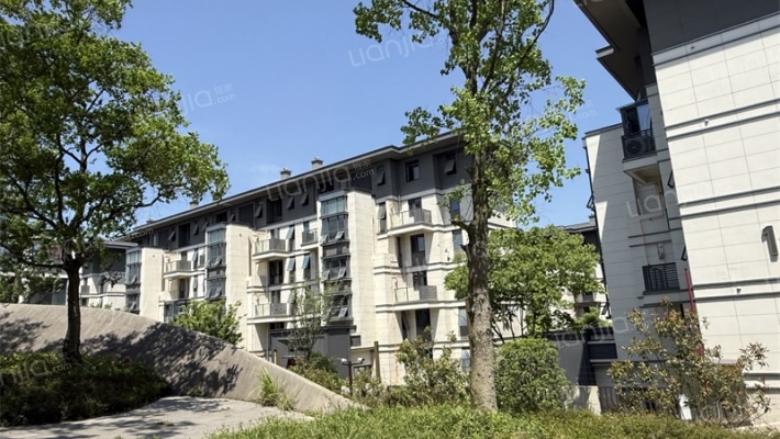 大发璞悦珑山外景图