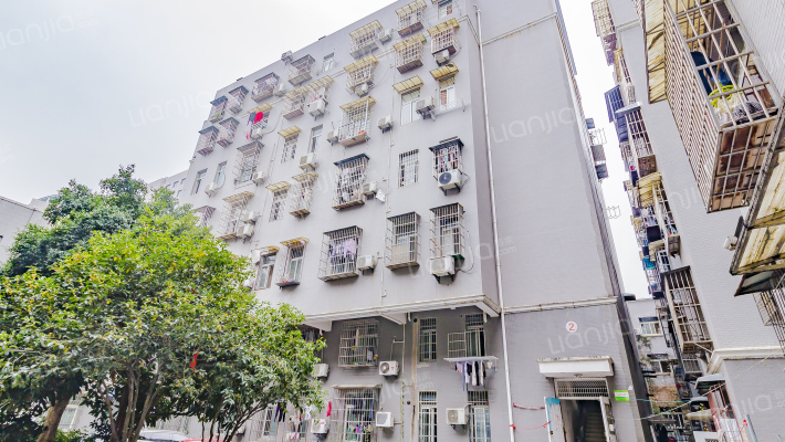 畔山庭院外景图