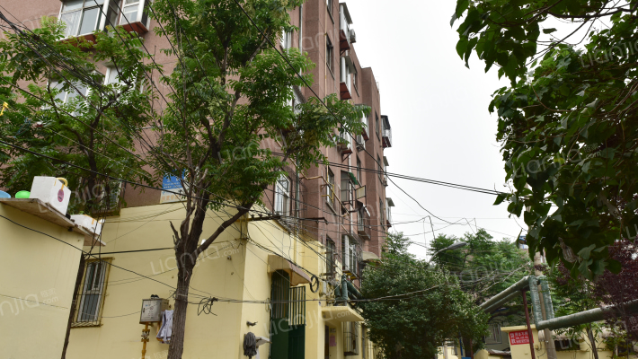 郎茂山三区外景图