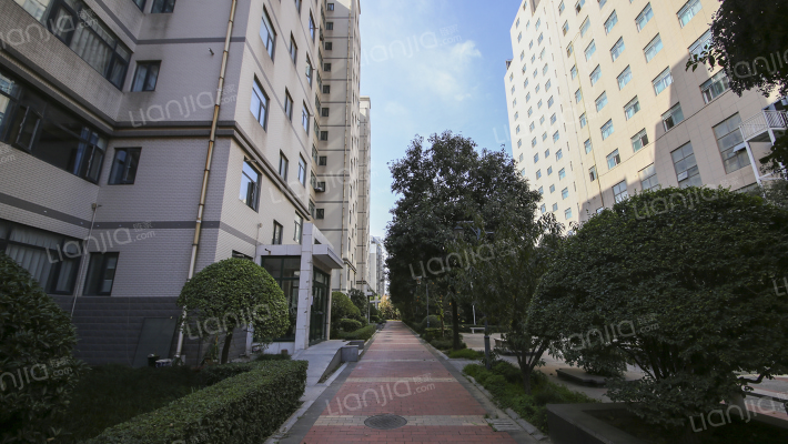 未央粮食局家属院外景图