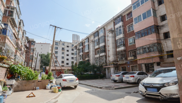 红山根三角花园外景图