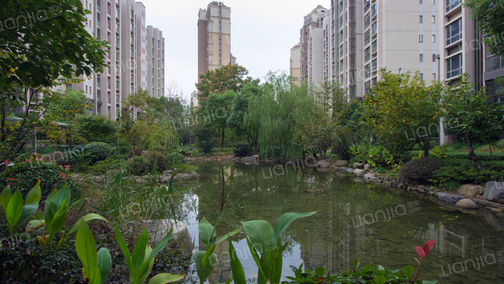 和风雅致外景图