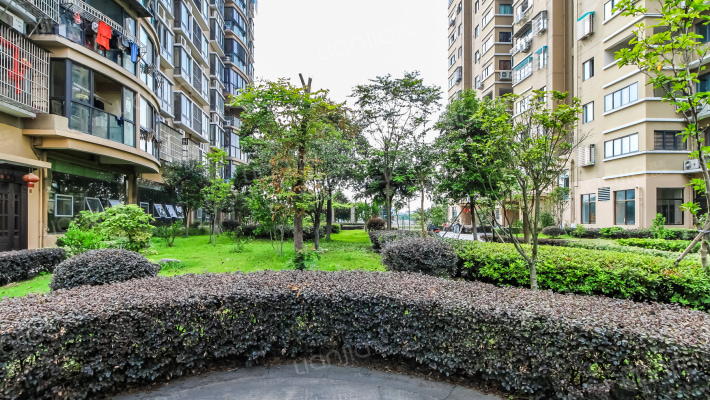 龙浦锦苑外景图