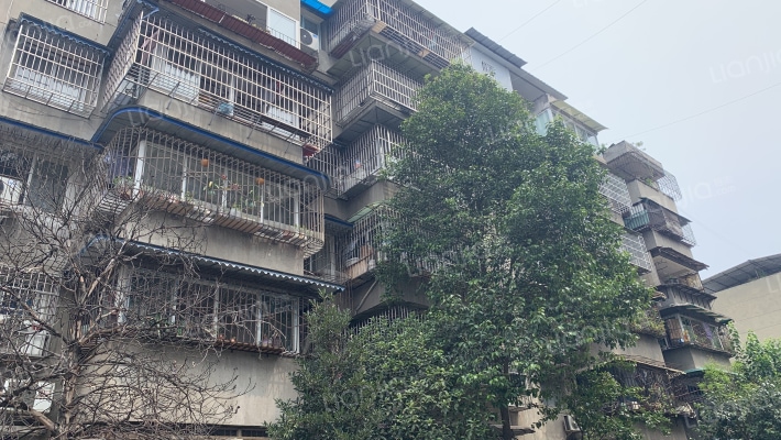 西大街228号外景图