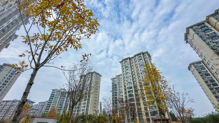 城市新星北区外景图