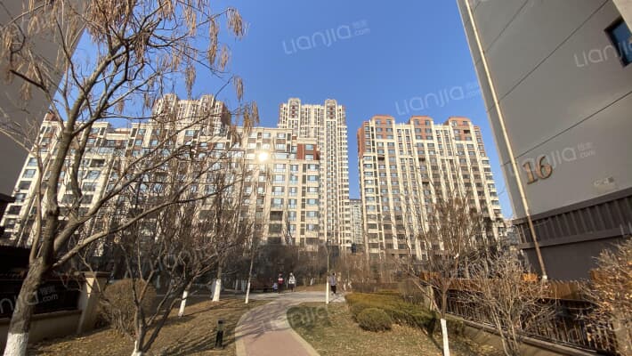 格林木棉花外景图