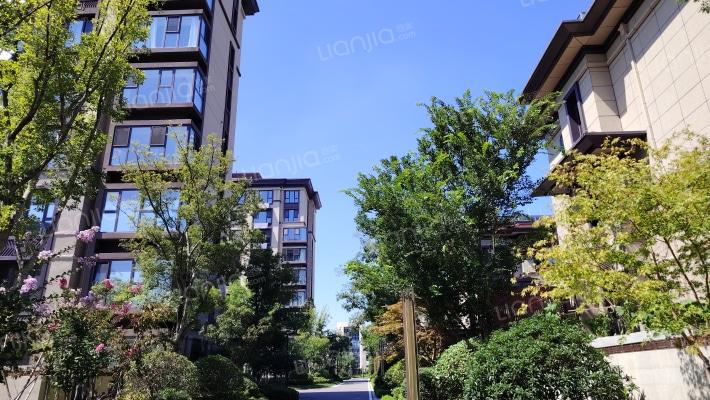 鑫江·合院外景图