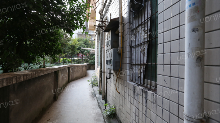 弹子石新街小区外景图