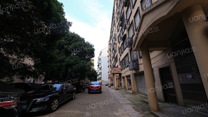 向阳路780号外景图