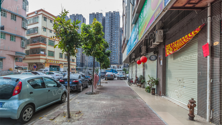 坦洲镇嘉利路13号之一外景图