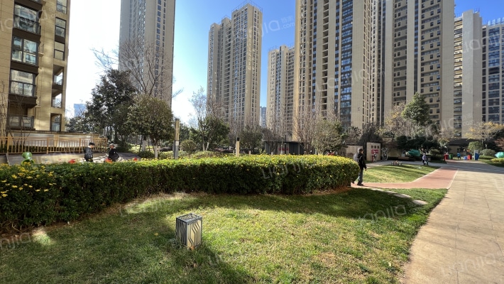 蓝光林肯公园外景图