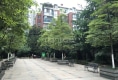 香槟花园21