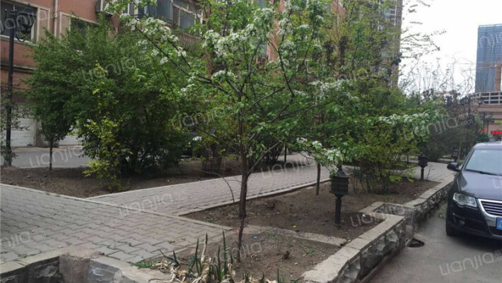 金源新村外景图