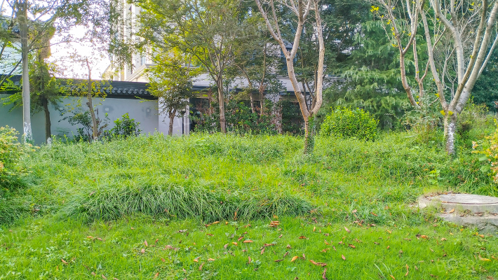 名门东和园外景图