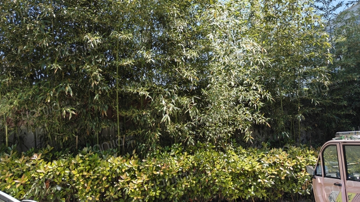 仁爱佳苑外景图