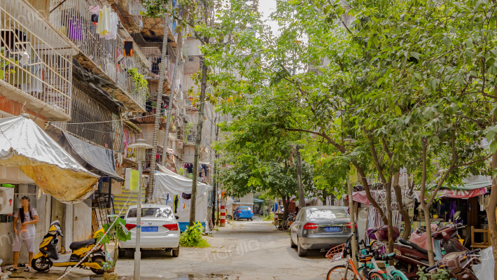 黎明新村樱花园外景图