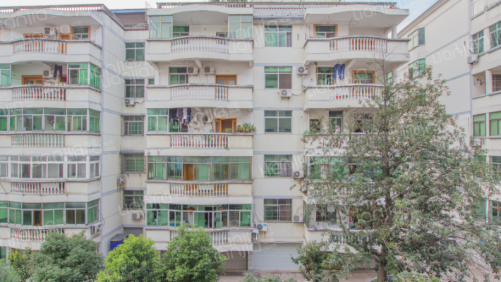 常青巷4号外景图