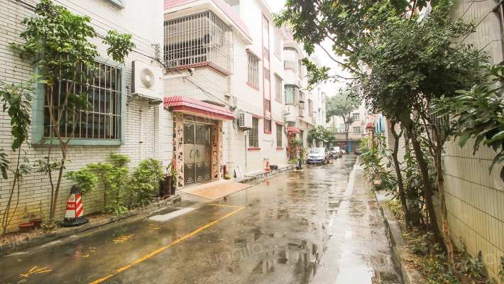 岐兴大街外景图