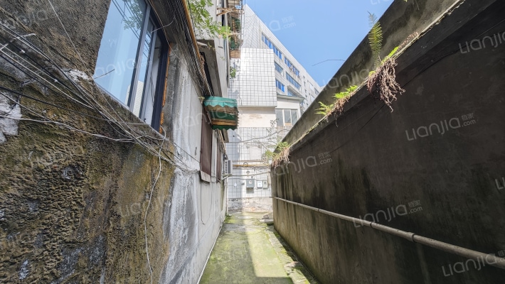 柳城大道东段218号外景图