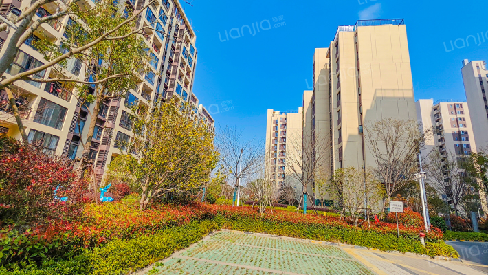 碧桂园星辰苑外景图