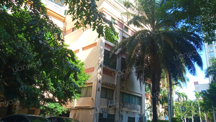 奇龙大厦外景图