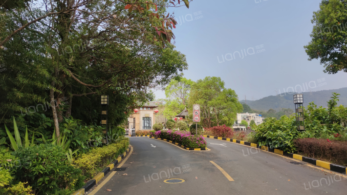 大族泉天下外景图