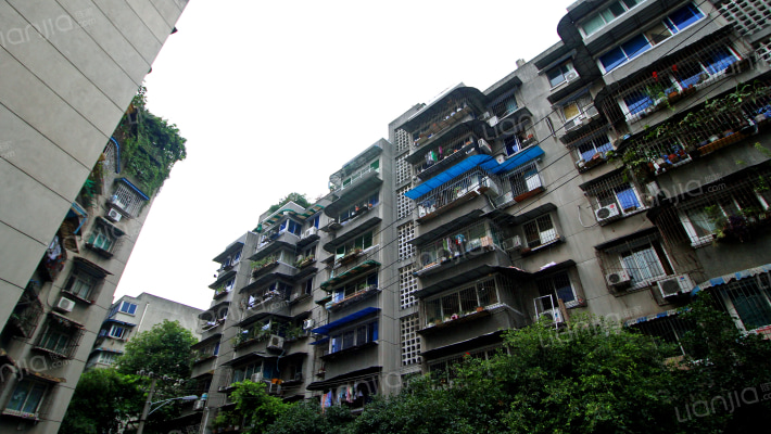 百花南街1号外景图