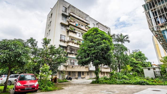 广西壮族自治区兽医研究所住宅区外景图