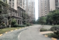 四季映像1