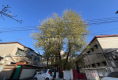 新世纪住宅小区4