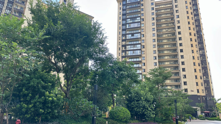 光明城市外景图