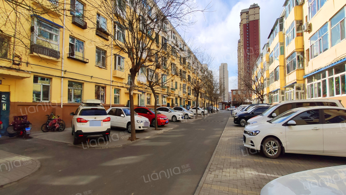 太药小区D区外景图