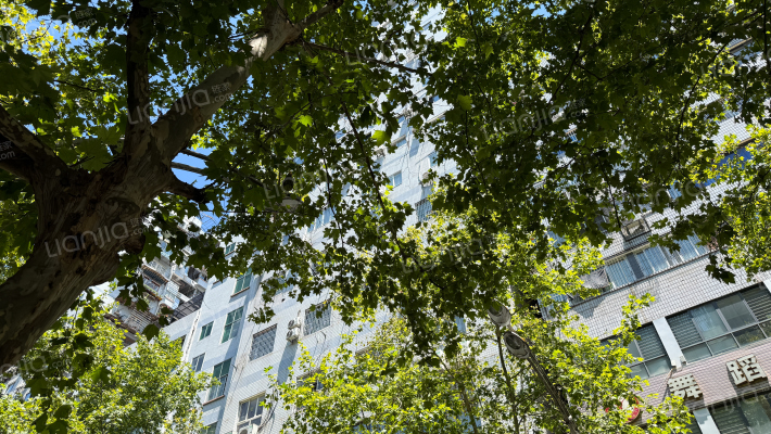 白岩路152号外景图