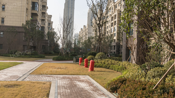 蓝光公园华府一期外景图