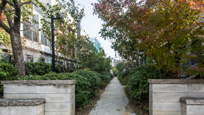 小石城1区玫瑰园外景图