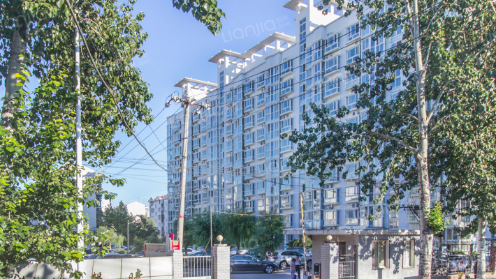 莲竹馨晴外景图