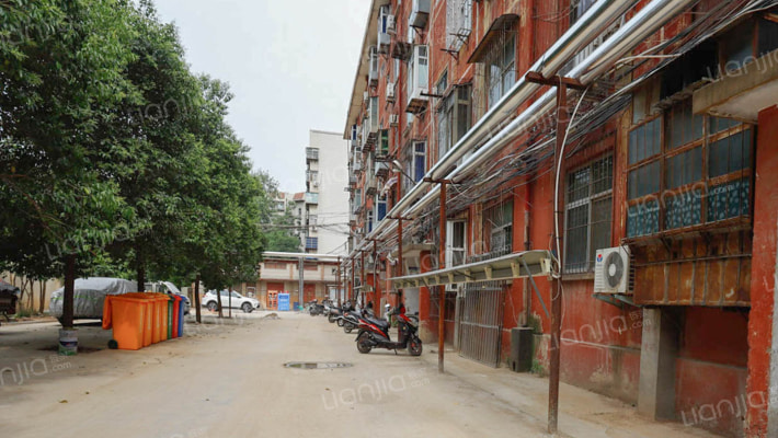 伊河路50号外景图