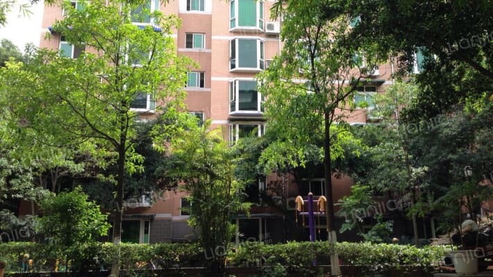 幸福春天外景图