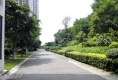 清河阳光4