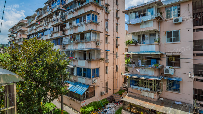 水心住宅区柑组团外景图