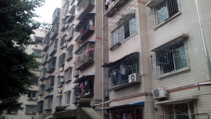 金色花苑外景图