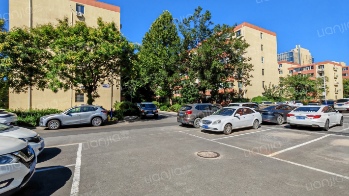 枣园东里外景图