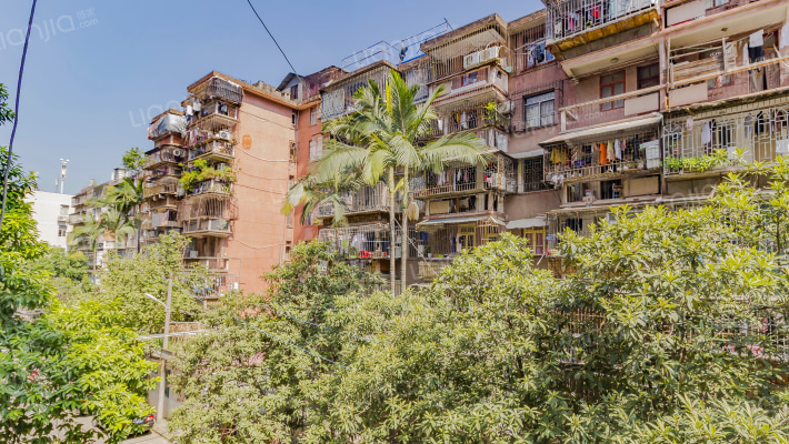 环南八村外景图