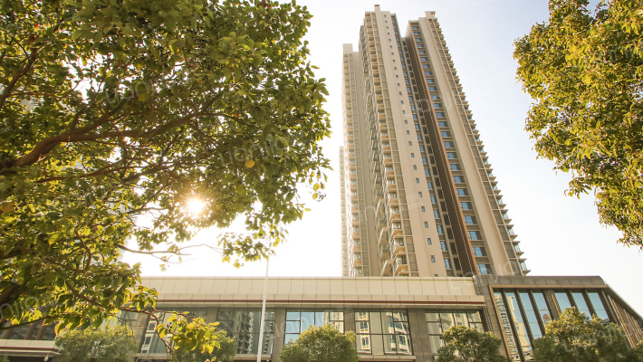 喜汇名苑外景图