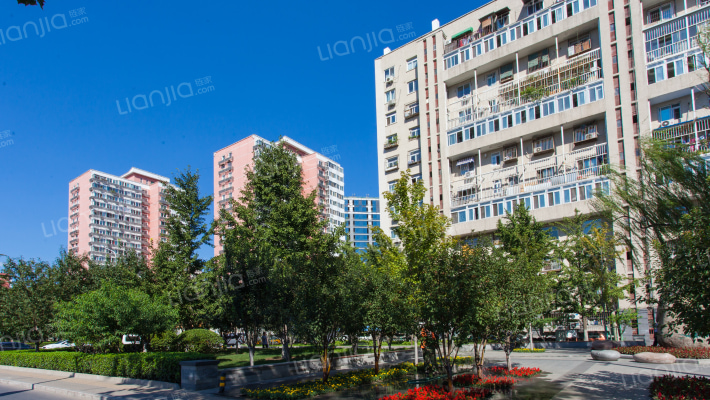 东直门北大街外景图