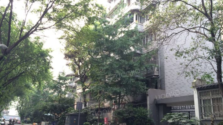 支矶石街24号外景图